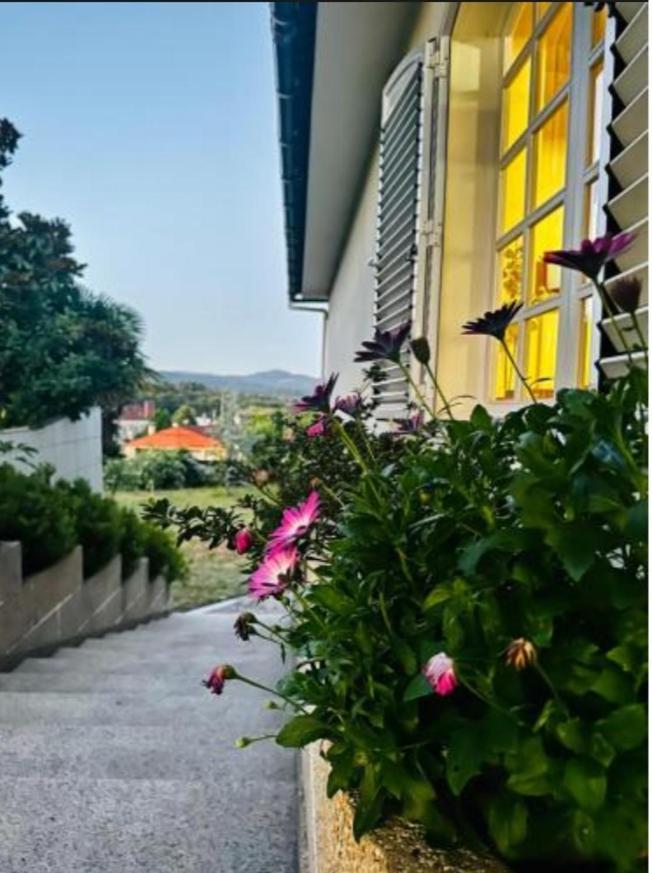 A Casa De Abelleira Ponteareas Bed & Breakfast Exterior photo
