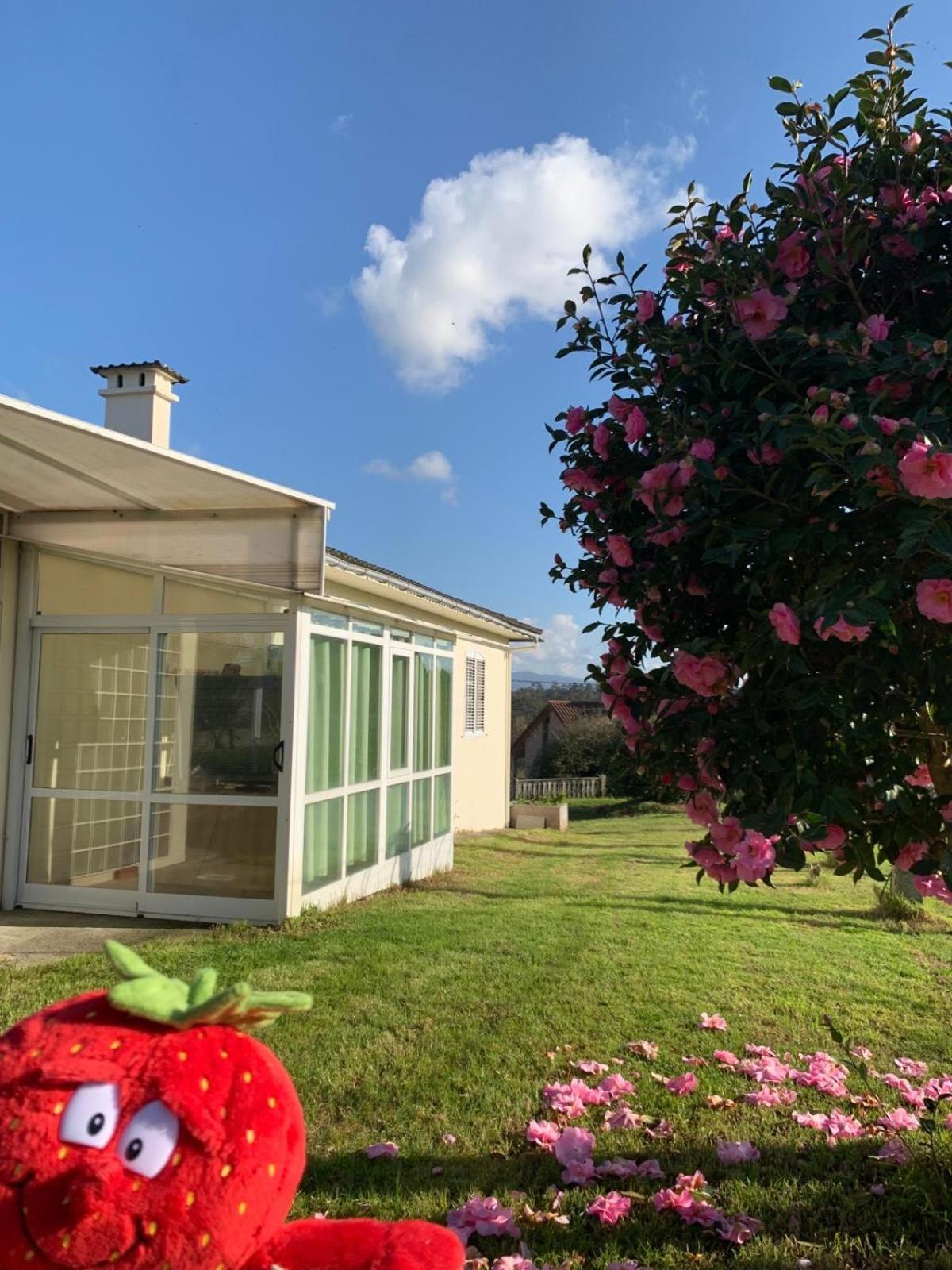 A Casa De Abelleira Ponteareas Bed & Breakfast Exterior photo
