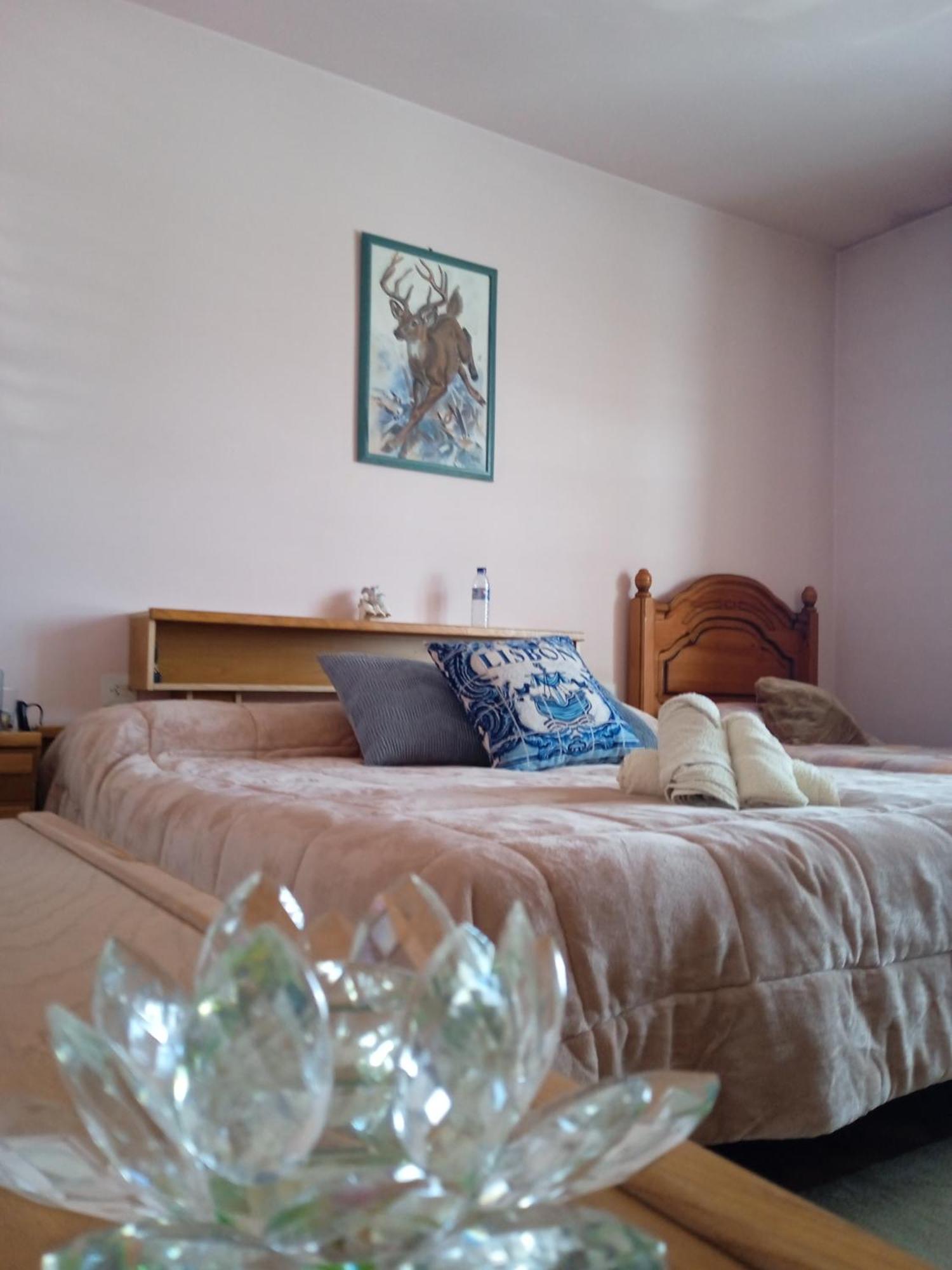 A Casa De Abelleira Ponteareas Bed & Breakfast Exterior photo