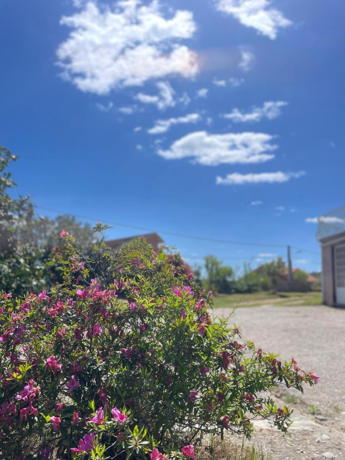 A Casa De Abelleira Ponteareas Bed & Breakfast Exterior photo